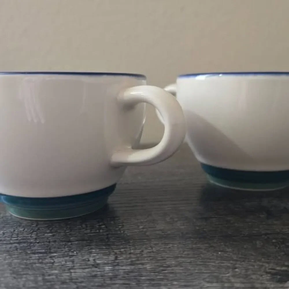 Flat Cup Ocean Breeze by Pfaltzgraff. Set of 12
